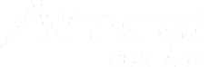 logo Arnesi Contábil